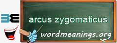 WordMeaning blackboard for arcus zygomaticus